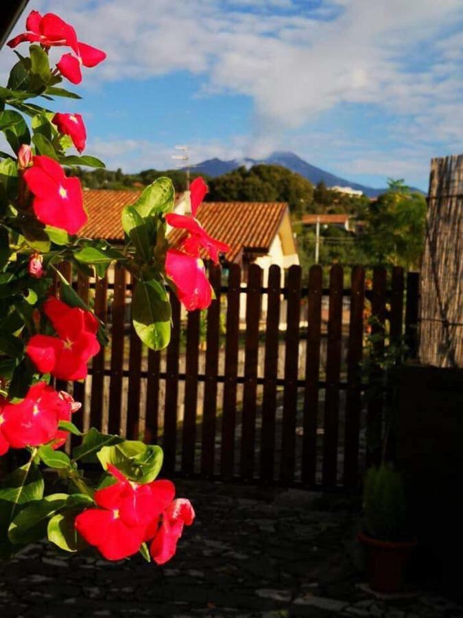 Apartmán Il Tiglio Viagrande Exteriér fotografie